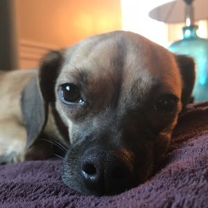 Meet your Posher, Marissa